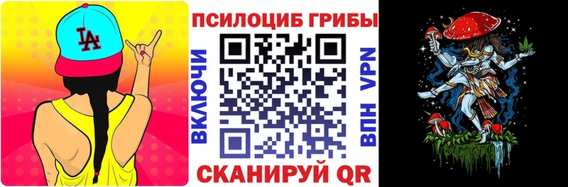 где найти   Тюкалинск  Псилоцибиновые грибы Psilocybe 